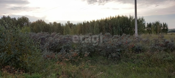 
  Продается земельный участок 10.02 соток. Фото 3.