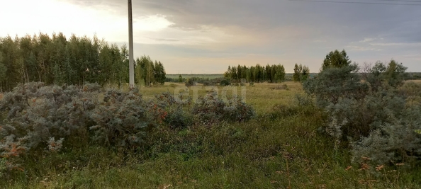 
  Продается земельный участок 10.02 соток. Фото 5.