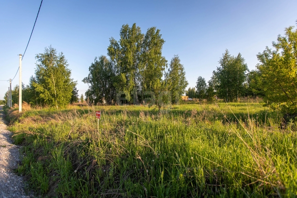 
  Продается земельный участок 9.5 соток. Фото 12.