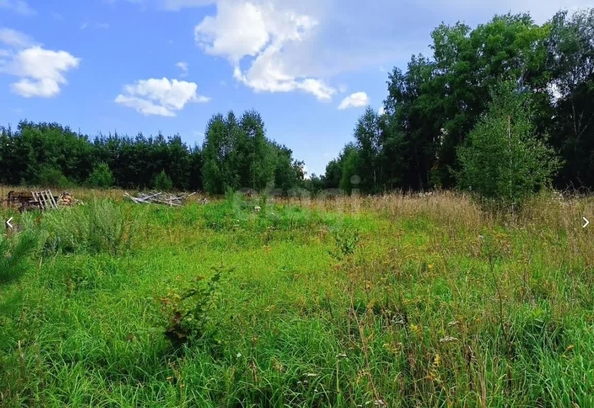 
  Продается земельный участок 9 соток. Фото 2.