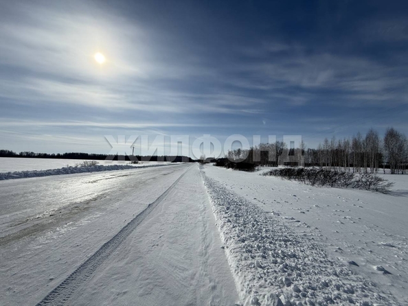 
  Продается земельный участок 10.02 соток. Фото 2.