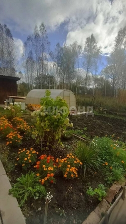 
  Продается дача 43 м². Фото 28.