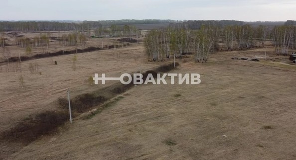 
  Продам  дачный участок, 10 соток, Новосибирск

. Фото 3.