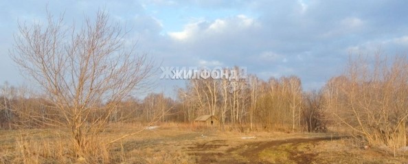 
  Продам  дачный участок, 40 соток, Новомошковское

. Фото 1.