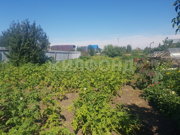 
  Продам  дачный участок, 9.3 соток, Новосибирск

. Фото 8.