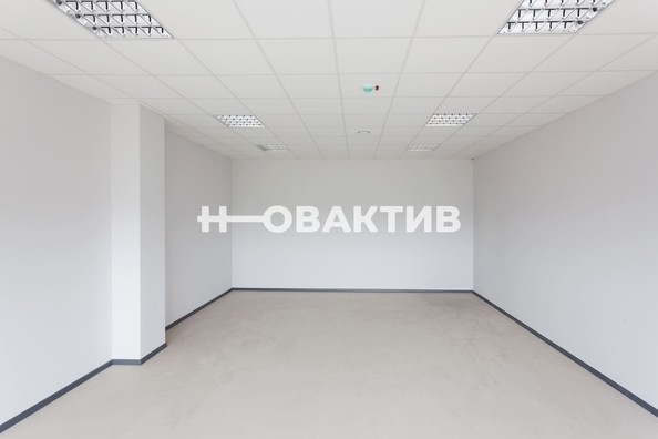 
   Продам помещение свободного назначения, 145 м², Красный пр-кт, 161

. Фото 5.