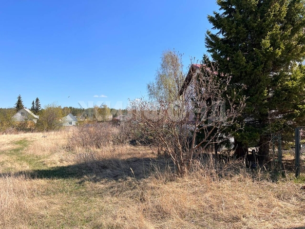 
  Продам  дачный участок, 13.38 соток, Чернаково

. Фото 4.