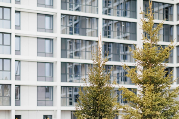
  Продается 3-комн. квартира, 73.8 м², ЖК Gorizont (Горизонт)
. Фото 7.