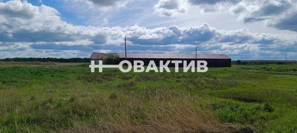 
   Продам помещение свободного назначения, 667.9 м², Костякова ул, 1

. Фото 17.