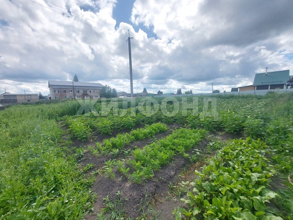 
   Продам дом, 31 м², Плотниково село

. Фото 4.