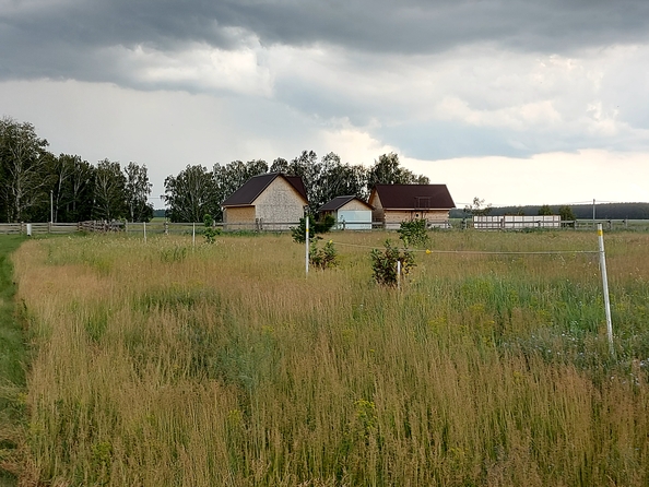 
  Продам  землю сельхозназначения, 100 соток, Ордынское

. Фото 9.