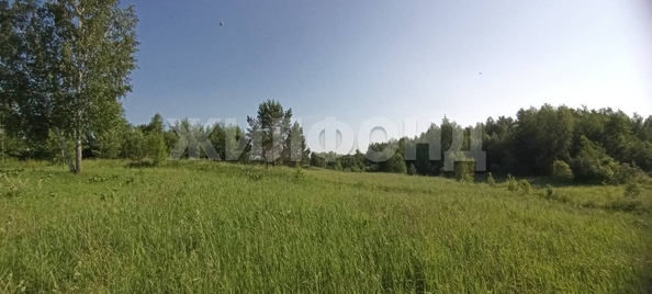 
  Продается земельный участок, 10.52 соток, поселок Воробьевский
. Фото 2.