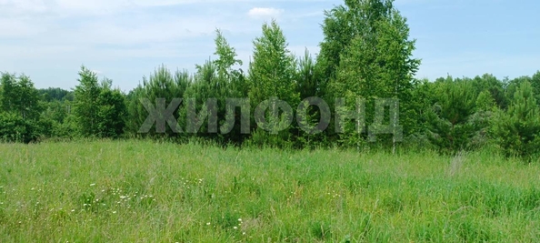 
  Продается земельный участок, 12 соток, поселок Воробьевский
. Фото 11.