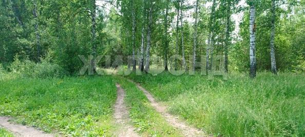 
  Продается земельный участок, 12 соток, поселок Воробьевский
. Фото 14.