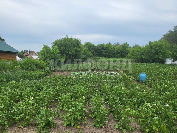 
  Продам  дачный участок, 14 соток, Новолуговое

. Фото 4.