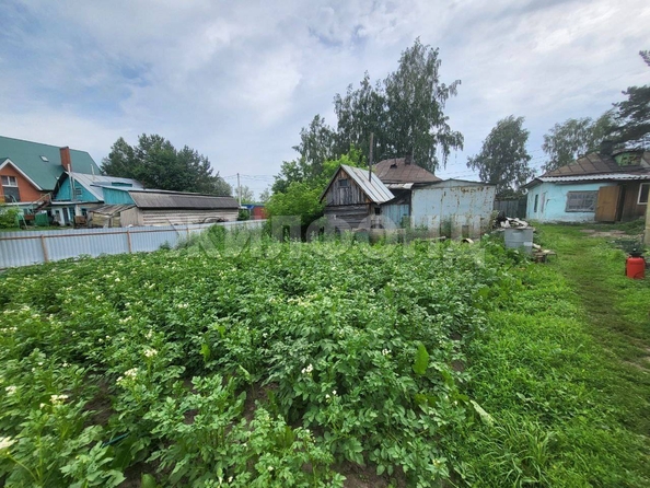 
  Продам  дачный участок, 14 соток, Новолуговое

. Фото 5.
