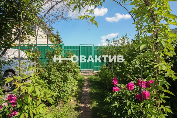 
  Продам дачу, 6.5 соток, Тополь СНТ (Советский р-н)

. Фото 9.