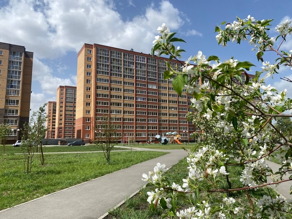 
   Продам студию, 27.45 м², Юности ул, 7

. Фото 9.