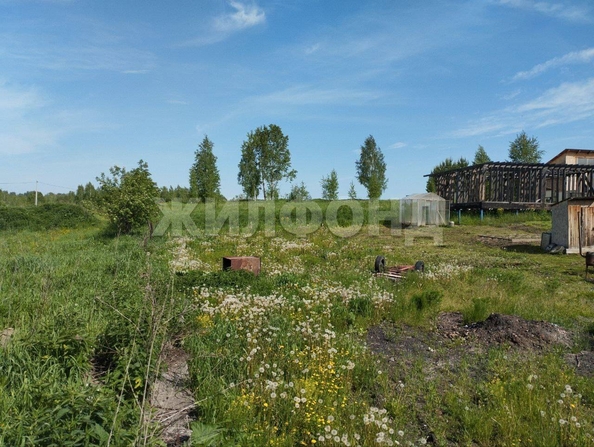 
  Продам  дачный участок, 9.75 соток, Каменка село

. Фото 1.