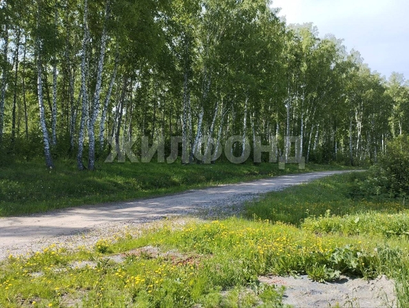 
  Продам  дачный участок, 9.75 соток, Каменка село

. Фото 3.