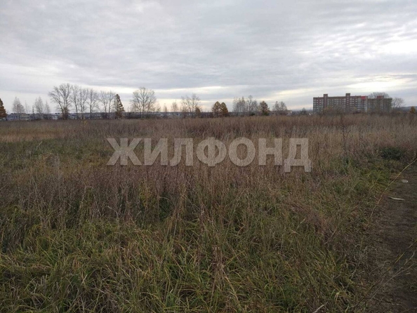 
  Продам  дачный участок, 75 соток, Чернореченский

. Фото 5.