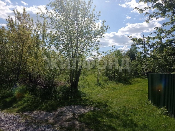 
  Продается земельный участок, 13 соток, село Кубовая
. Фото 2.