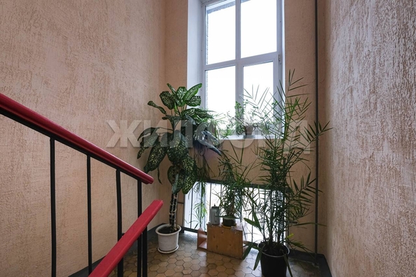 
   Продам 3-комнатную, 55.6 м², Мичурина ул, 23

. Фото 30.