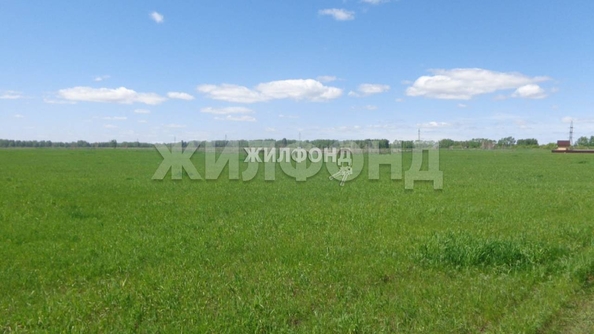 
  Продам  дачный участок, 15.01 соток, Красный Яр

. Фото 1.