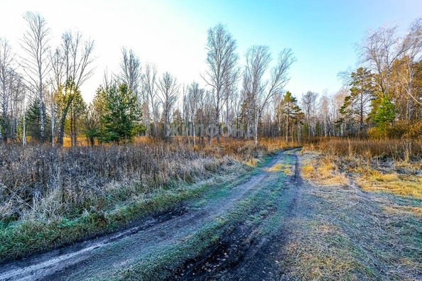 
   Продам 1-комнатную Центральная ул

. Фото 9.