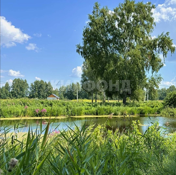 
  Продается земельный участок, 6 соток, поселок Воробьевский
. Фото 2.
