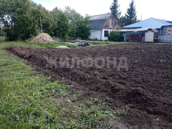 
  Продам  дачный участок, 14.11 соток, Новопичугово

. Фото 4.