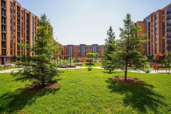 
  Продается 1-комн. квартира, 43.7 м², ЖК Цивилизация, дом 2
. Фото 2.