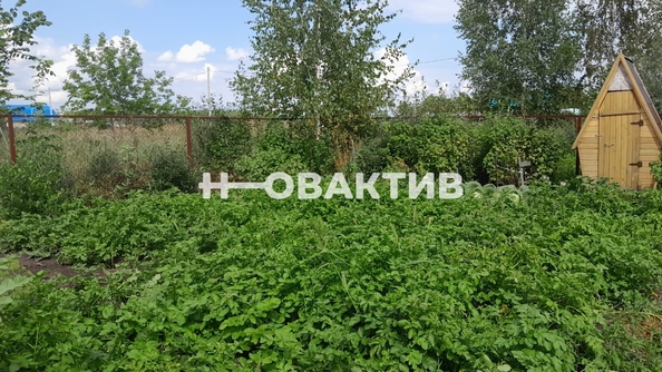 
   Продам коттедж, 20 м², Коченево

. Фото 17.