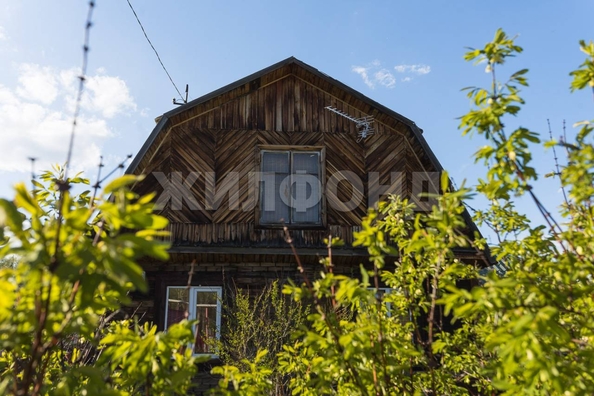 
  Продам дачу, 5 соток, Кубовая село

. Фото 19.