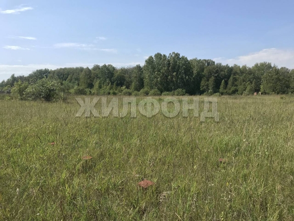 
  Продам  дачный участок, 12 соток, Калиновка

. Фото 3.