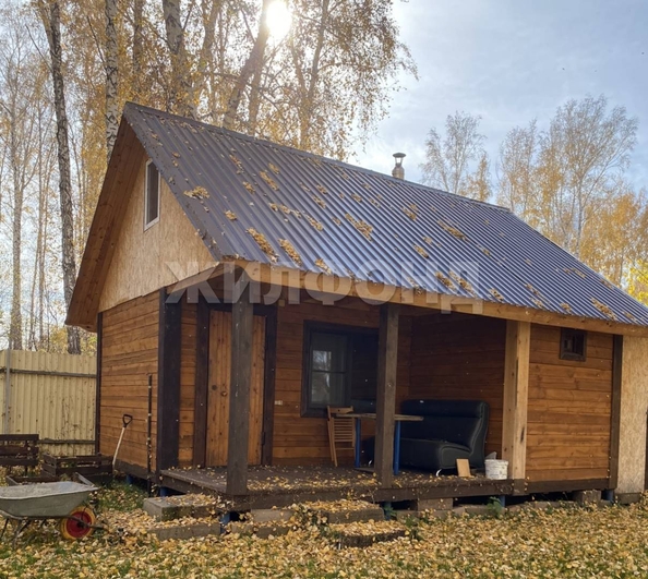 
  Продам дачу, 6 соток, Сосновка

. Фото 4.