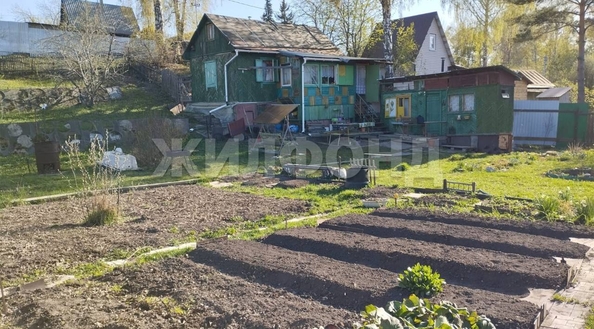 
  Продам дачу, 8 соток, Новосибирск

. Фото 1.