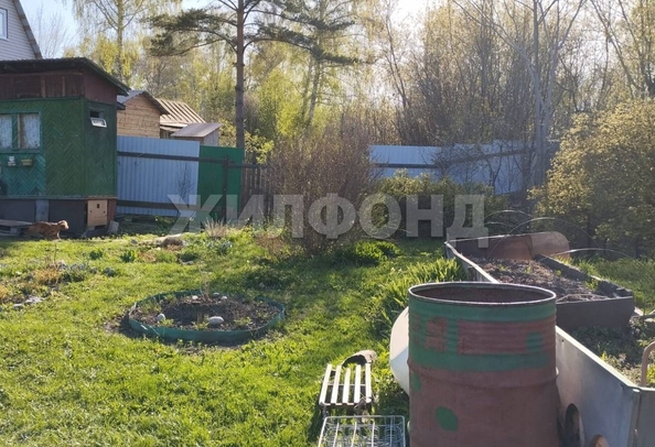 
  Продам дачу, 8 соток, Новосибирск

. Фото 4.