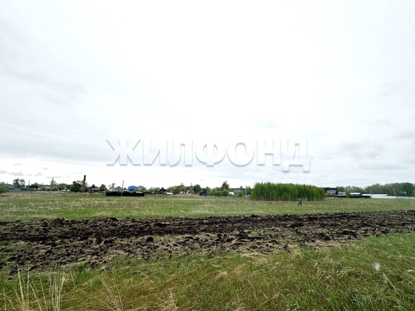 
  Продается земельный участок, 15 соток, село Береговое
. Фото 4.