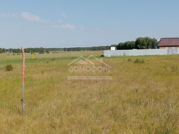 
  Продам  участок ИЖС, 10 соток, Усть-Заостровка

. Фото 7.
