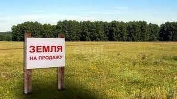 
  Продам  участок ИЖС, 11 соток, Усть-Заостровка

. Фото 5.