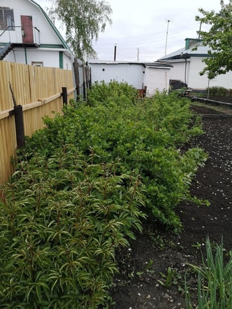 
   Продам дом, 52 м², Омск

. Фото 4.