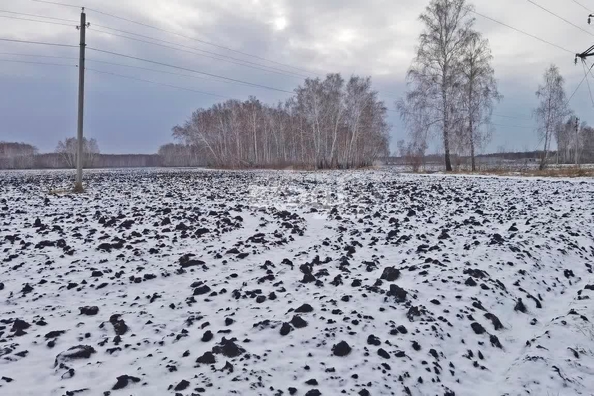 
  Продам  участок ИЖС, 13 соток, Березянка

. Фото 3.