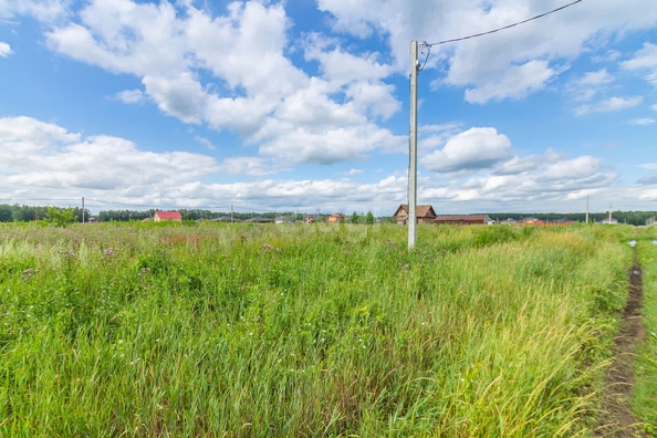 
  Продам  участок ИЖС, 10 соток, Пушкино

. Фото 5.