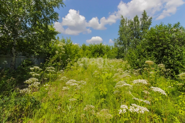 
  Продам  участок ИЖС, 8 соток, Омск

. Фото 4.