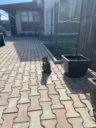 
   Продам дом, 70.9 м², Дружино

. Фото 27.