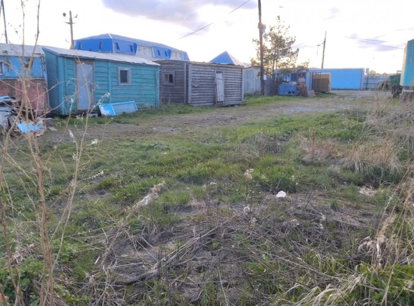 
  Продам  дачный участок, 8 соток, Омск

. Фото 2.
