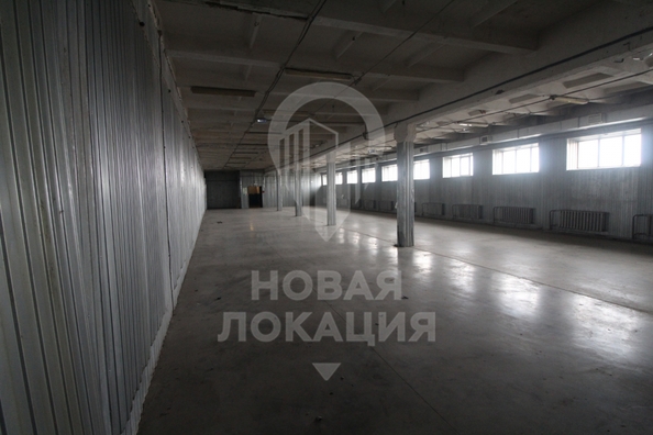 
  Сдается универсальное помещение, 2845 м², Линия 24-я ул, д. 59/2
. Фото 12.