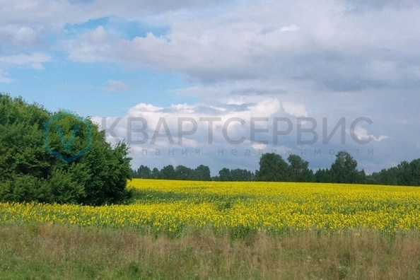 
  Продается земельный участок, 1000 соток, село Любино-Малороссы
. Фото 1.