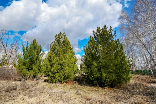 
  Продается дом, 250 м², Омск
. Фото 3.